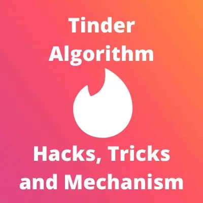 tinder algoritmi|Tinder explains how its algorithm works